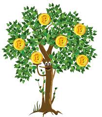 Grow Your Bitcoin